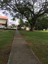 Sallim Road (D14), Semi-Detached #148040482